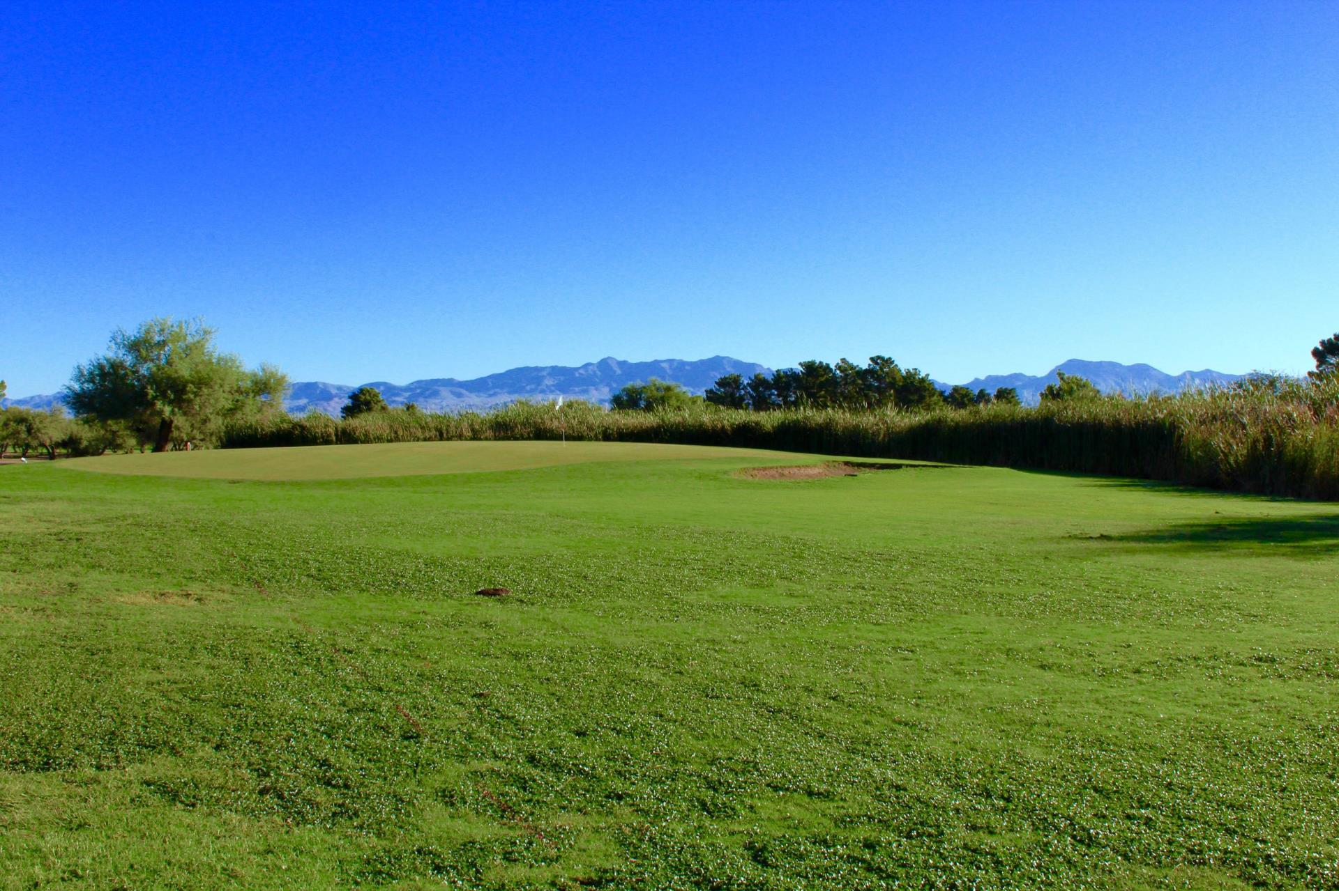 Golf Course 5